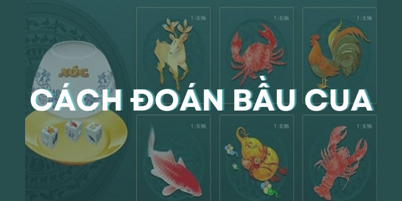 Hướng dẫn người mời cách đoán bầu cua cực chuẩn 100%