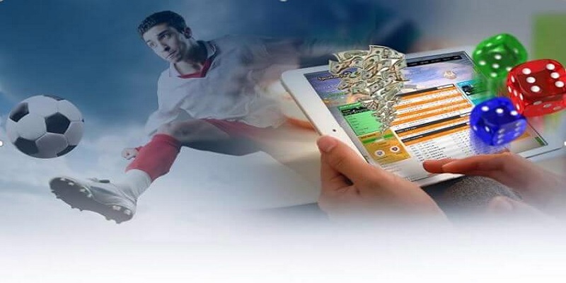 Giải đáp điều khoản sử dụng là gì