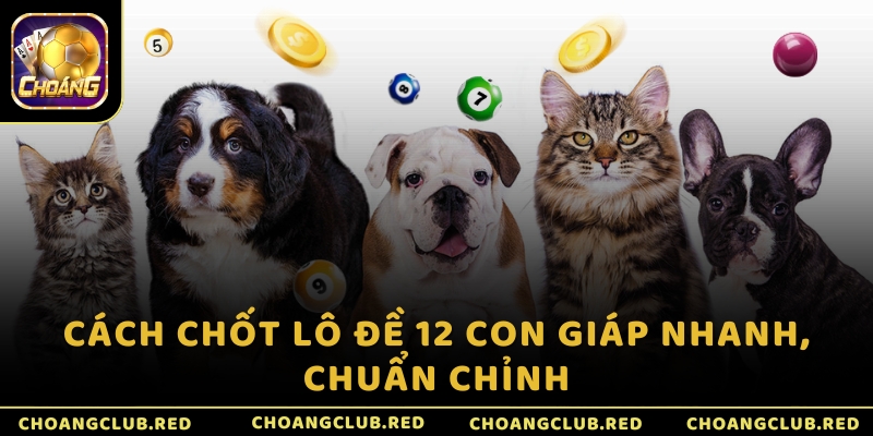 Cách chốt lô đề 12 con giáp nhanh, chuẩn chỉnh