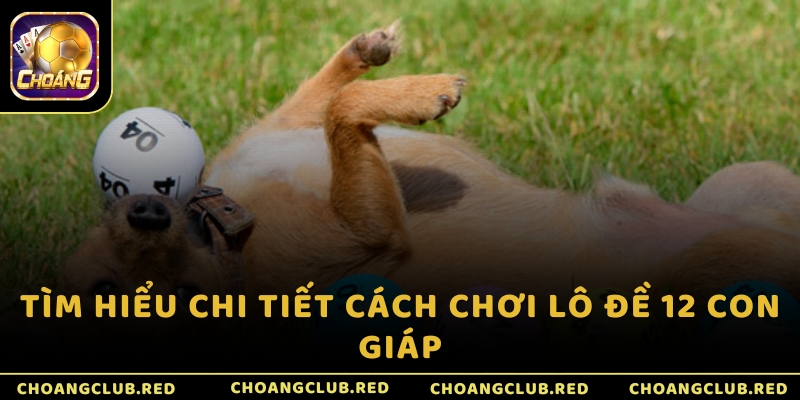 Tìm hiểu chi tiết cách chơi lô đề 12 con giáp