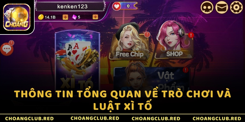 Thông tin tổng quan về trò chơi và luật Xì Tố
