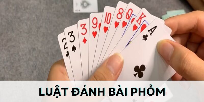 Nắm được thuật ngữ là bước cơ bản khi chơi phỏm