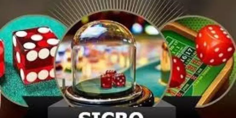 Ngày nay, rất nhiều người dùng phần mềm hack tài xỉu.